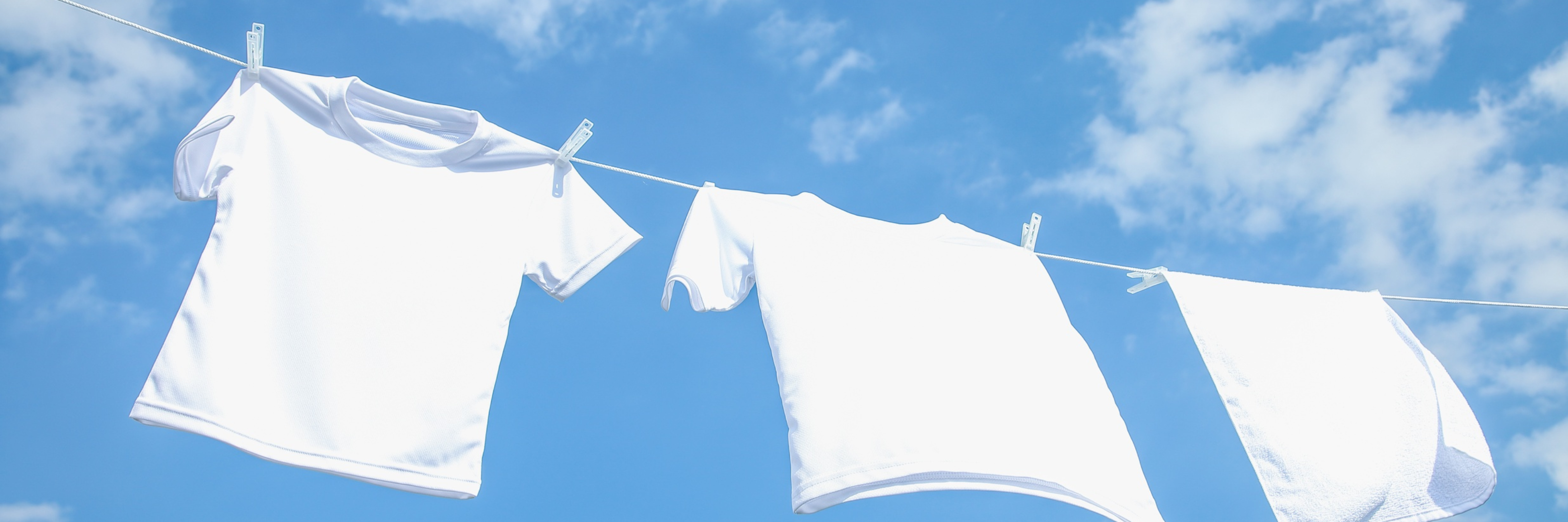 Guide d'entretien : comment faire durer votre T-shirt 100% coton Image