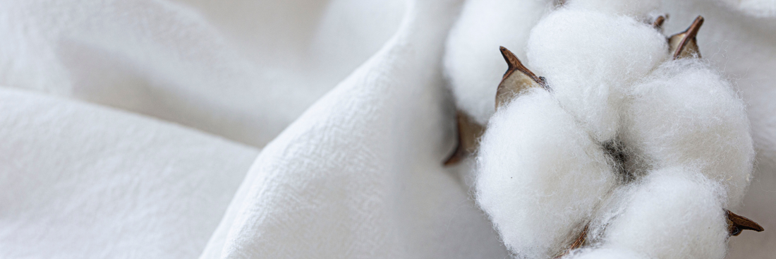 Les labels : la preuve de notre engagement